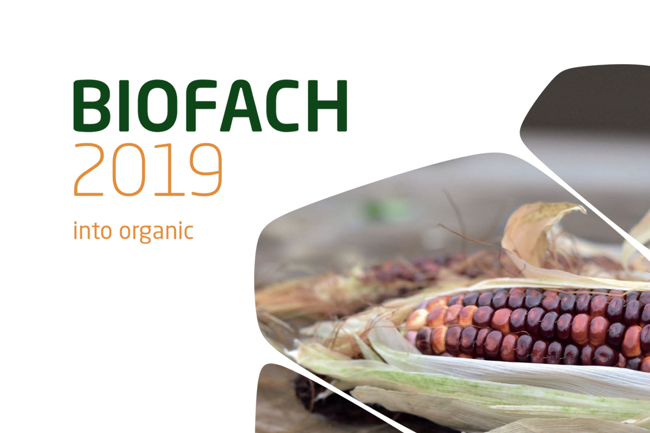 Eurochef Biofach 2019